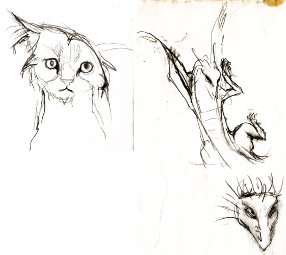 The sketch