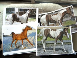 My reference photos My reference photos