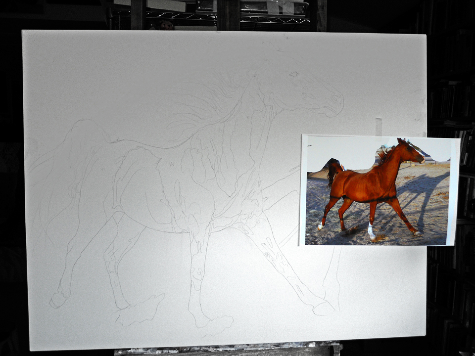 My sketch on the 44"x36" canvas